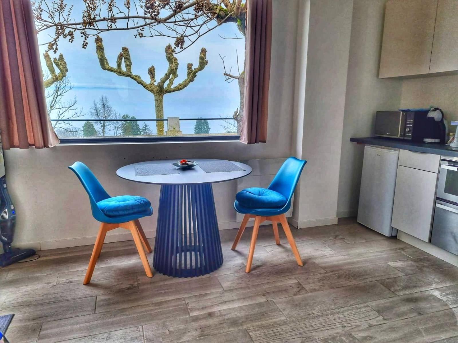 Appartement Cozy 2 Panoramique Lac Leman Thonon-Les-Bains Esterno foto